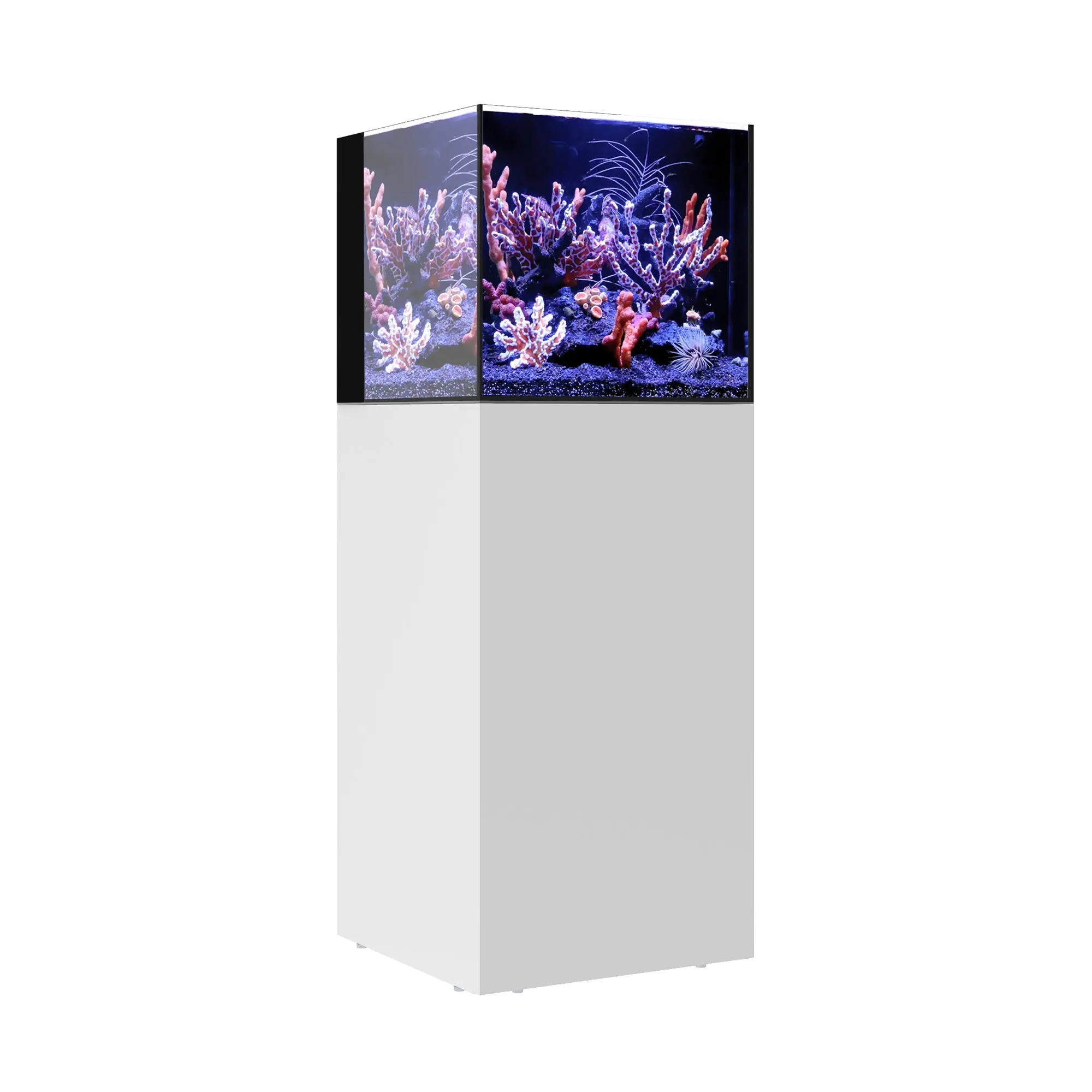 AIO 20 CUBE - Image 6
